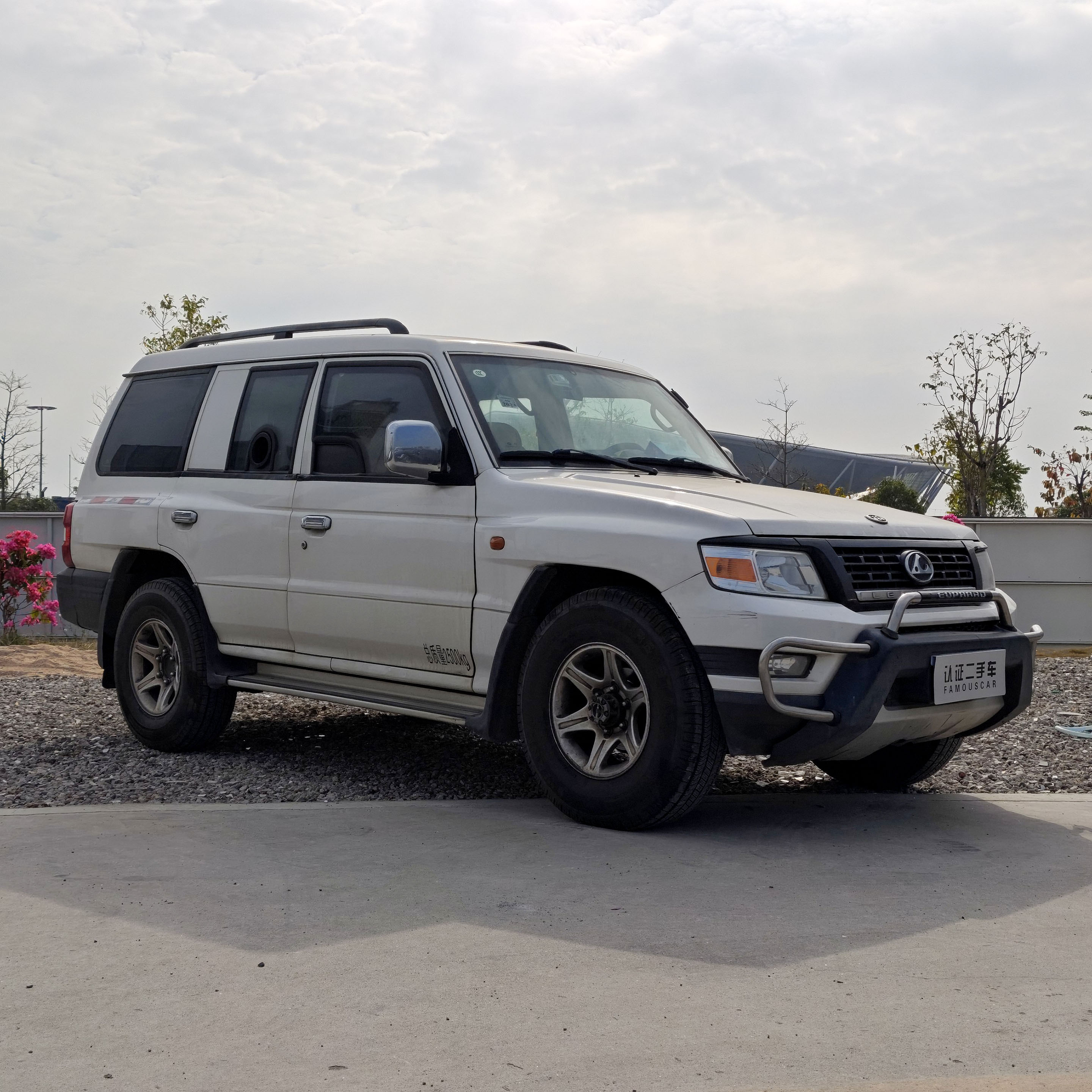 Leopaard Q6